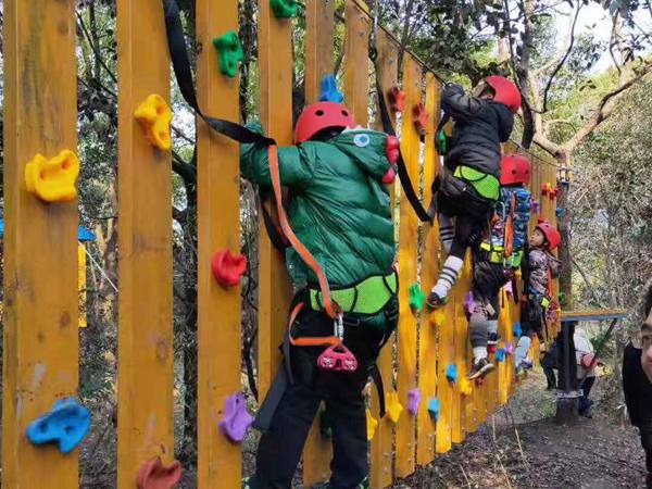 叢林穿越游樂項目 叢林穿越游樂項目